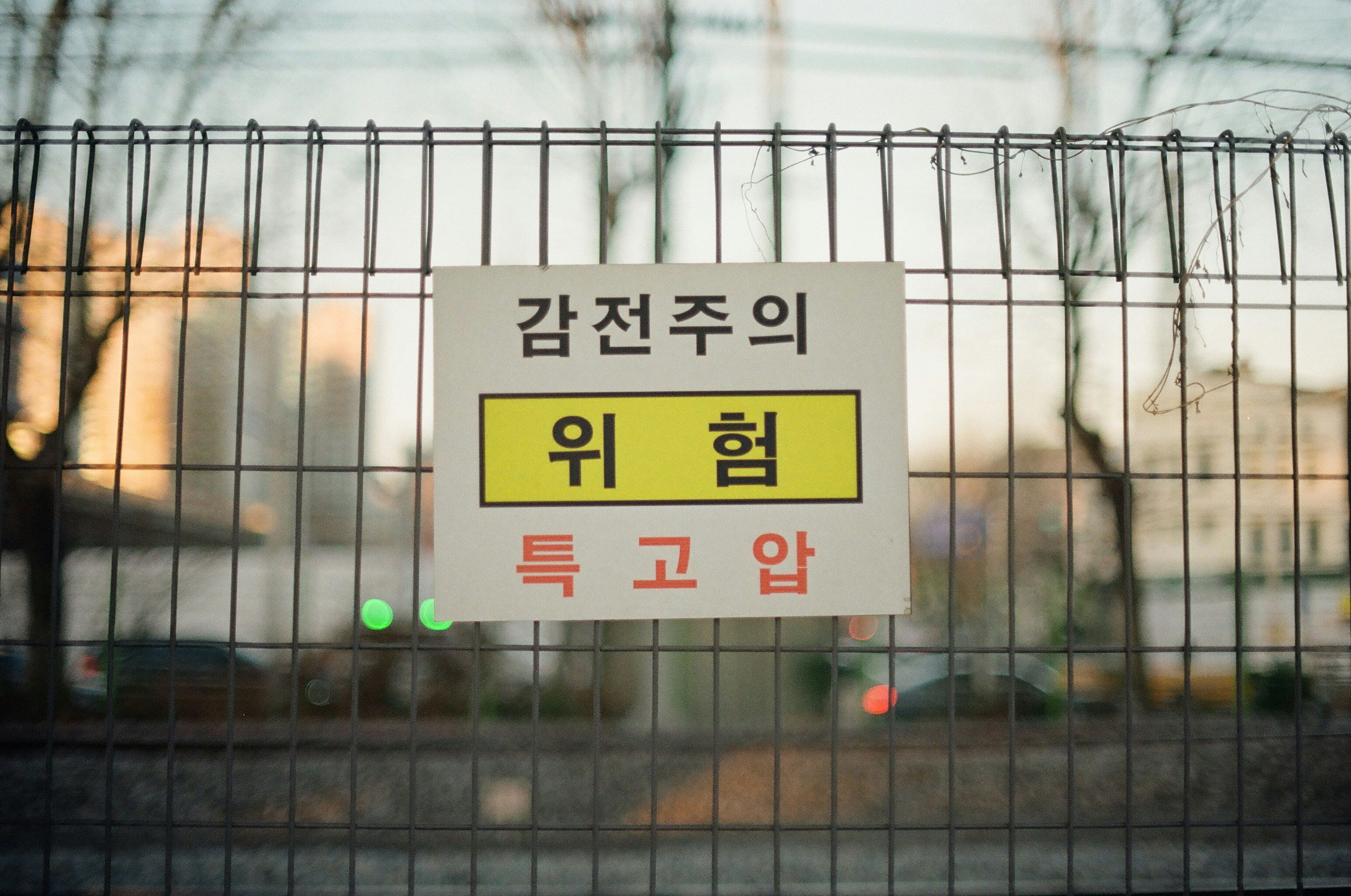 명의신탁 유형별 법적 효력을 설명하는 인포그래픽