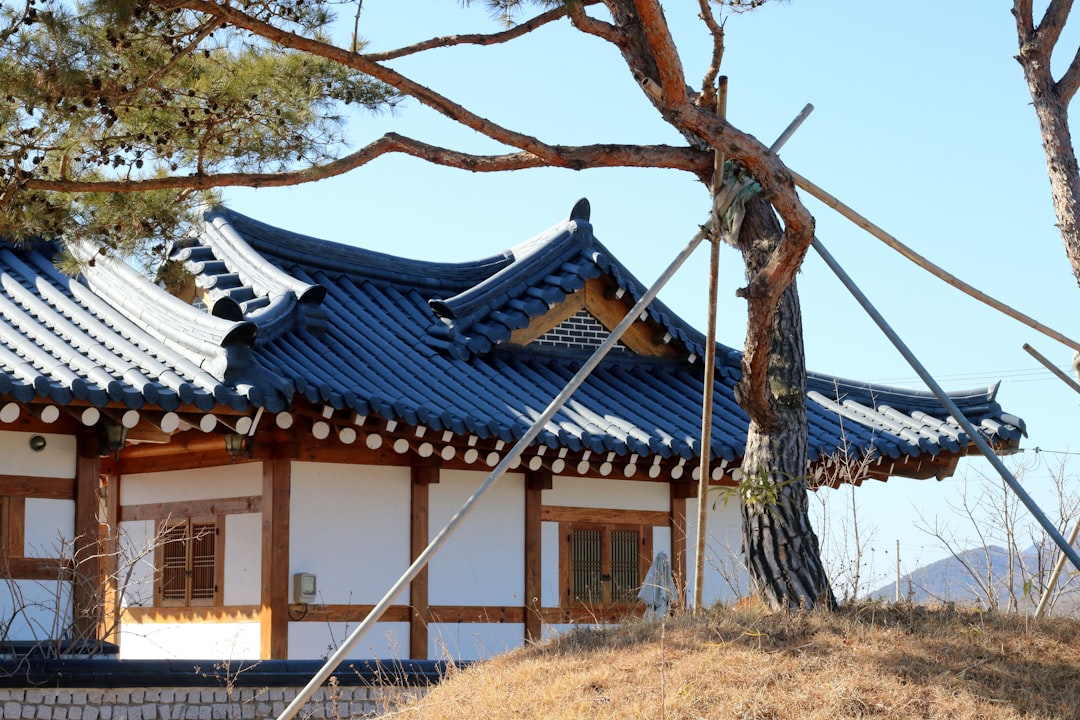 법적 보호를 받는 상속 재산과 유류분 청구권 개념을 나타내는 이미지